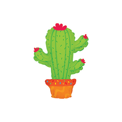 Mylar 25cm/9" Cactus