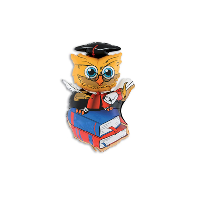 Mylar 9"/22cm Gufo Laurea