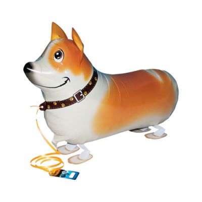 Walking Corgi 54cm/21" Cf 1 Pz