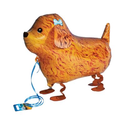 Walking Barboncino 73cm/29" Cf 1 Pz