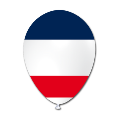 Round Stampa TPR Bandiera Francia 30cm/12" Cf 100 Pz